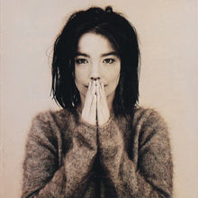 Load image into Gallery viewer, Bjork Debut
