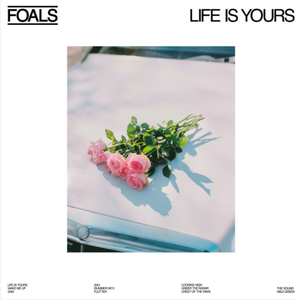 Foals Life is Yours